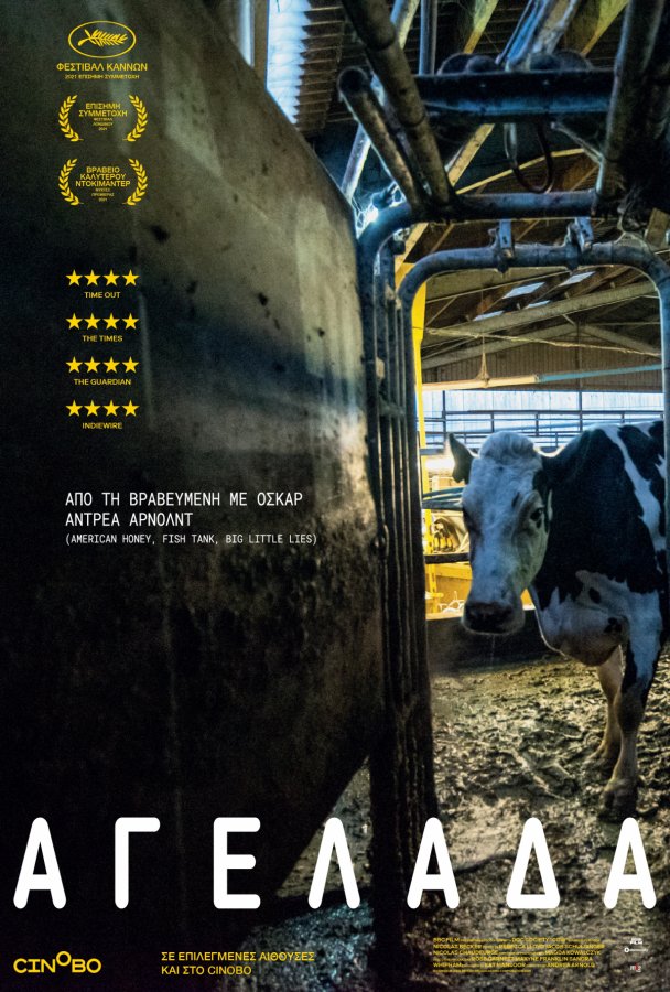 Cow